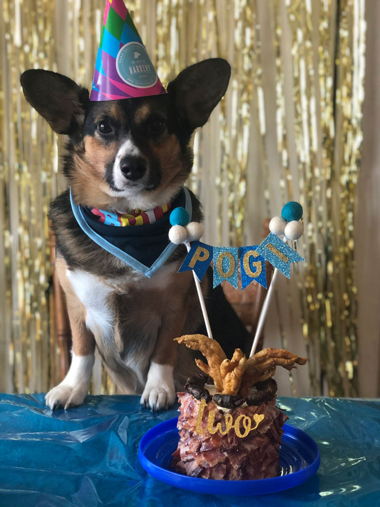 Custom dog hotsell birthday cake