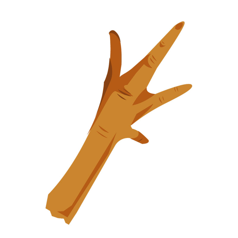 TSB_Treat_ChickenFoot