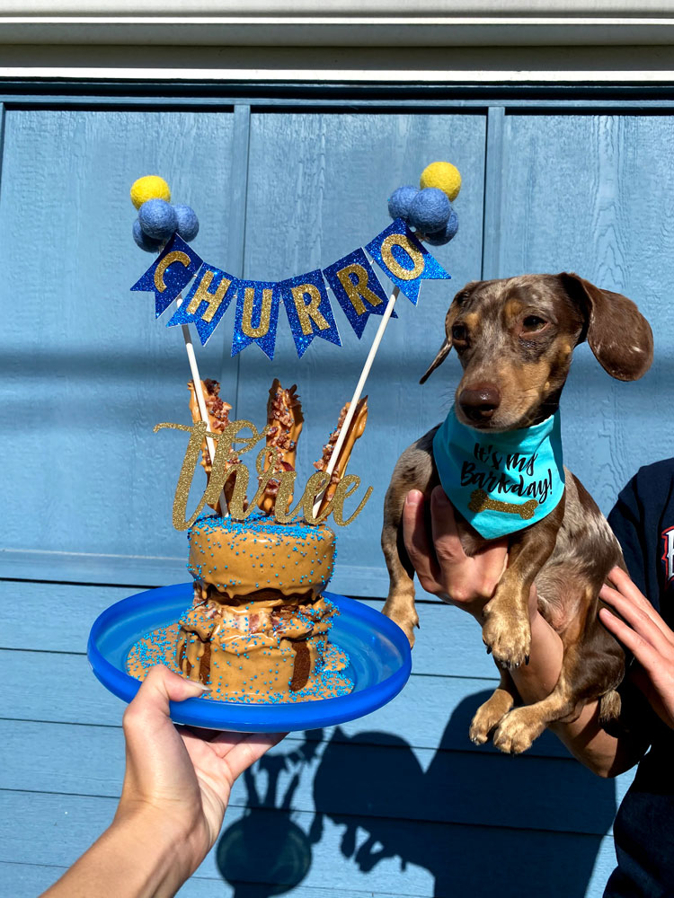 Personalized Donut-Shaped Dog Cake