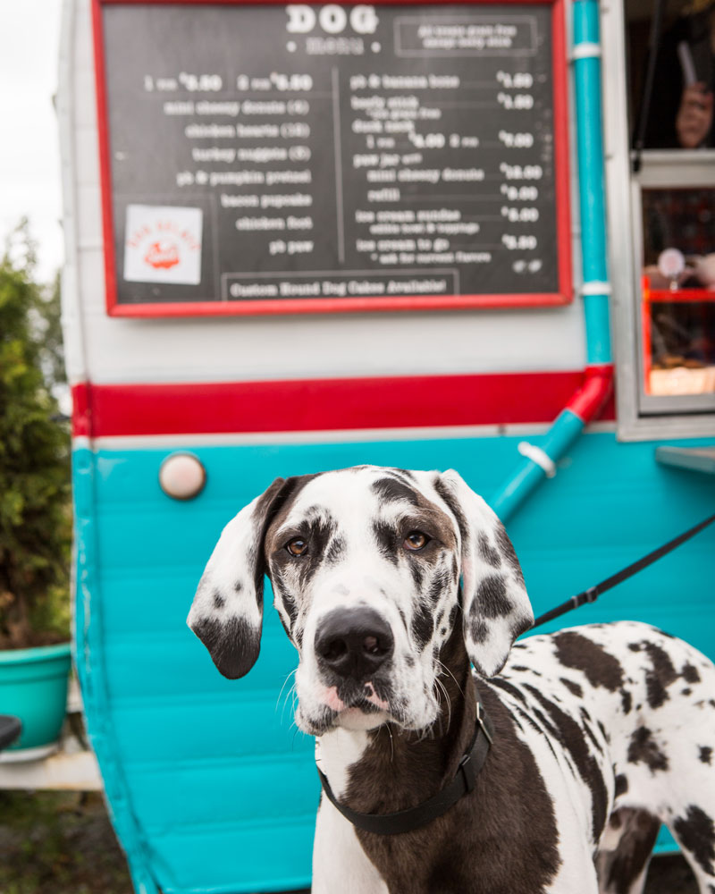 The shop barkery near