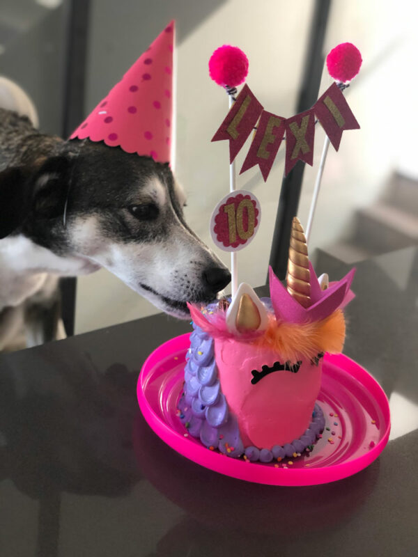 unicorn dog cake