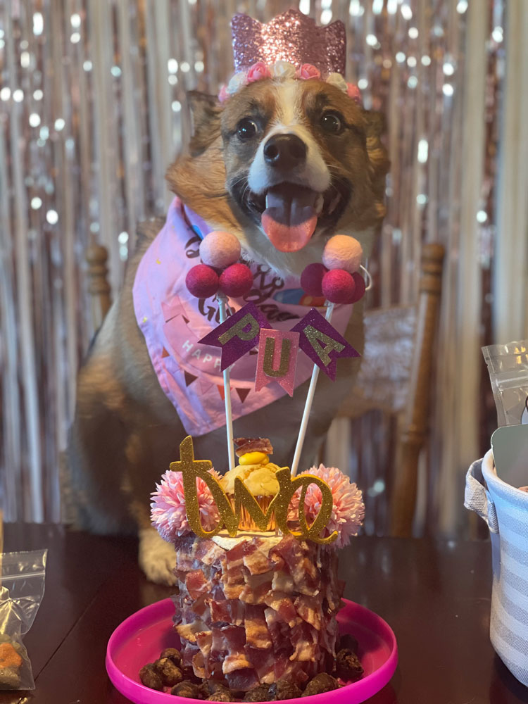 Personalized Donut-Shaped Dog Cake