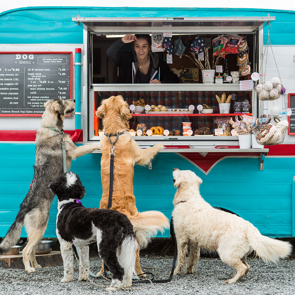 Local dog hotsell treat bakery