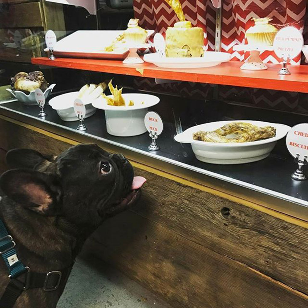 Making our Pupstomers happy!