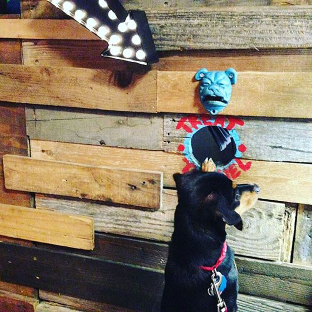 Stop by the treat tunnel!