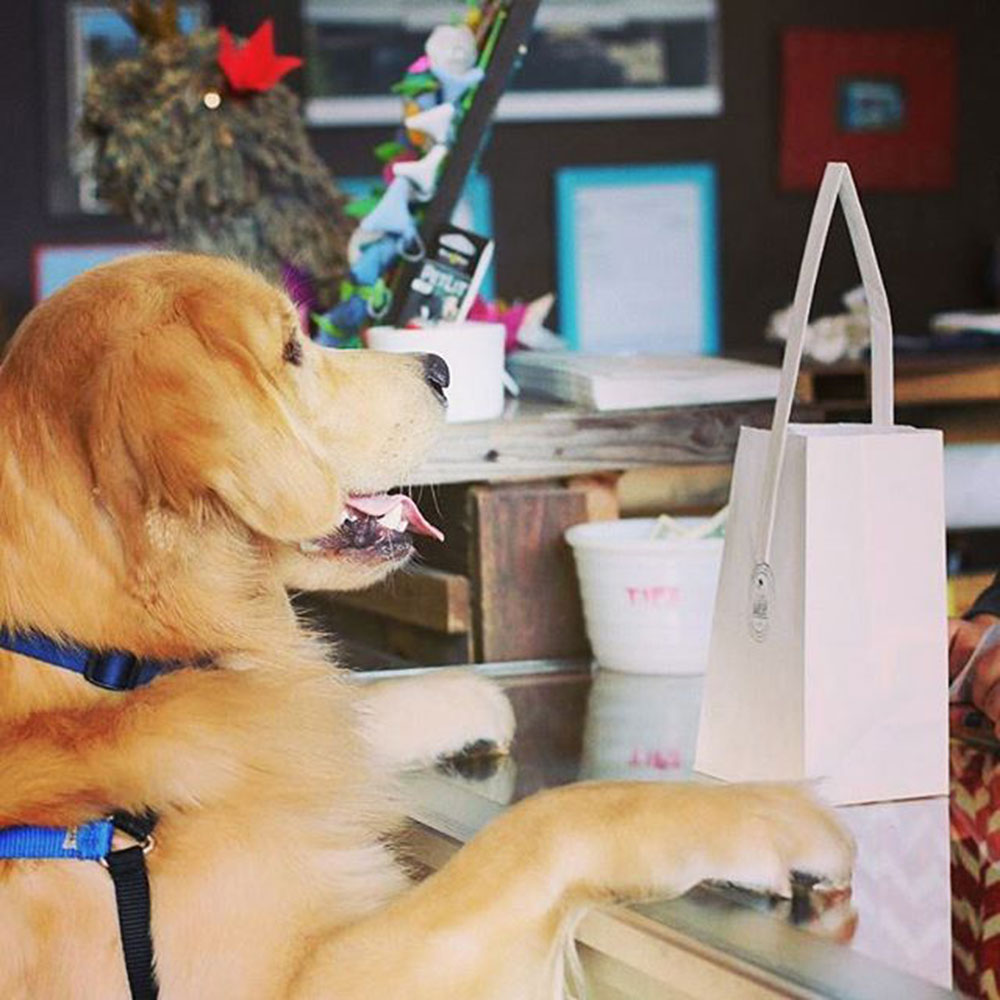 Order Up!